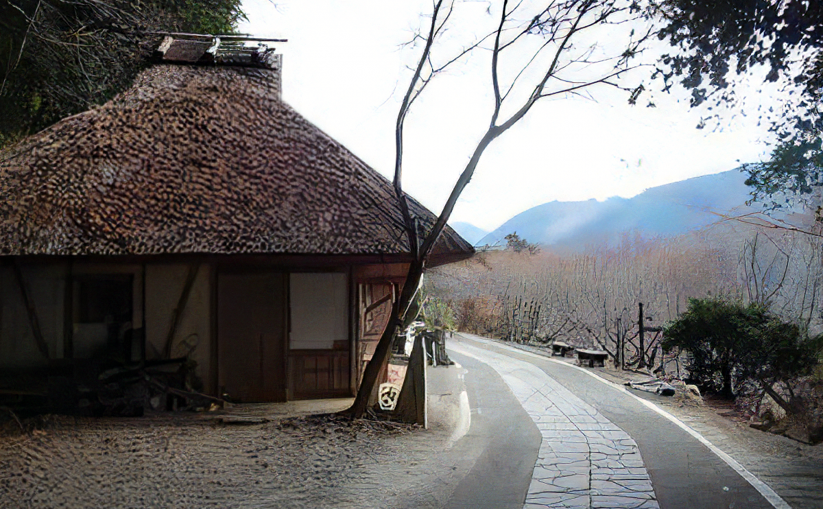 世界遺産熊野古道 ～神仏の息づかいが聞える祈りの道～